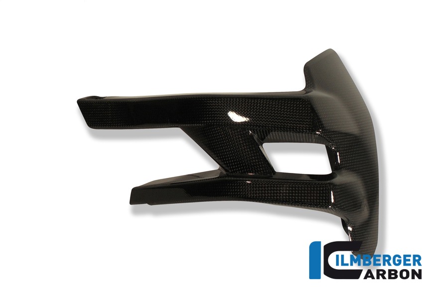 Ilmberger Carbon splash protector rear, Carbon