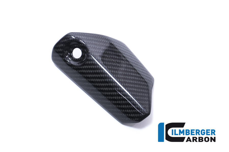 Kotflügel vorne, Carbon