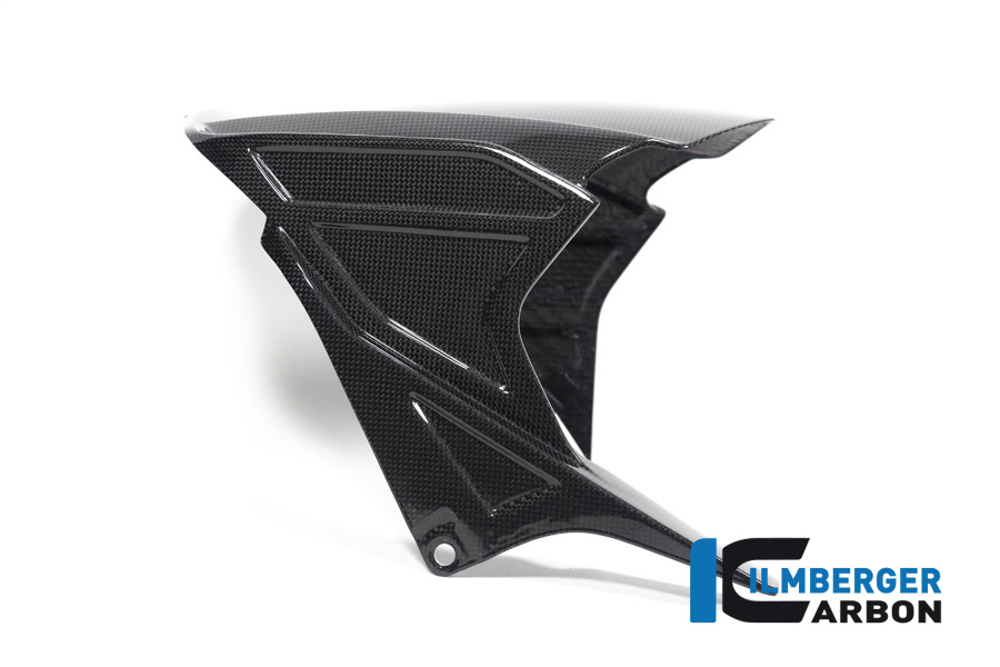 Ilmberger Carbon Rear Mudguard rear, glossy, for Honda CBR1000RR-R/SP 2020-