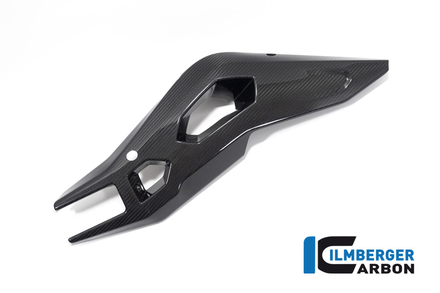 Ilmberger Carbon Swingarm Cover right side R/S, glossy, BMW S1000XR 2020- M1000XR 2024-