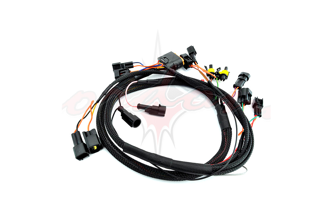 Cordona Standard Wiring Harness