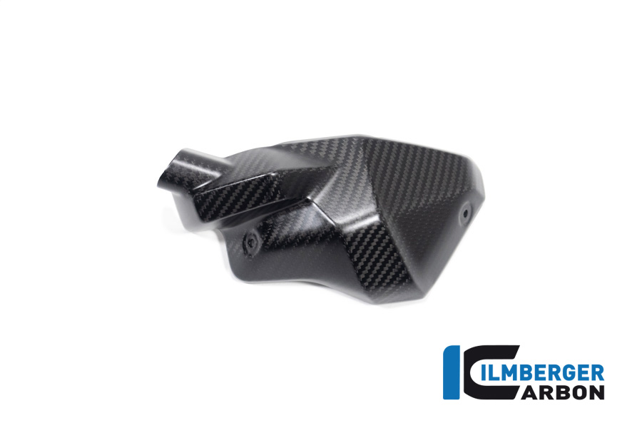 Ilmberger Carbon Injector Cover right side R/S, Matt, BMW R1300GS 2023-