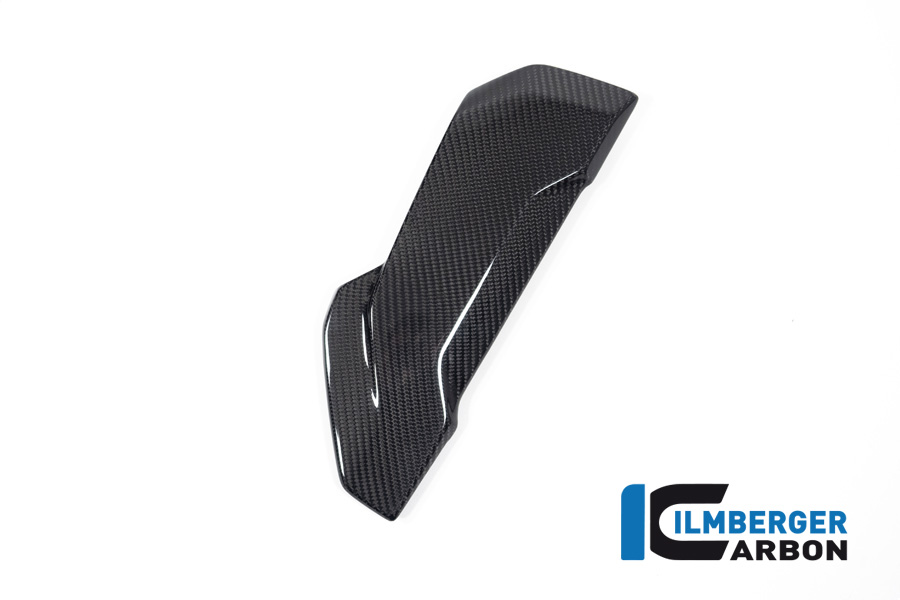Ilmberger Carbon Pillion Seat Cover, Glossy, BMW S1000R 2020-, M1000R 2023-