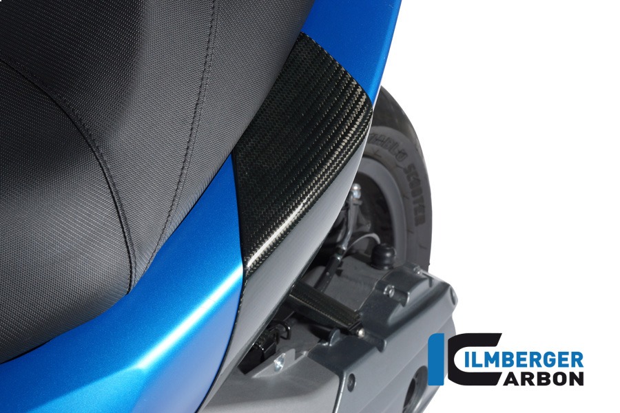 Ilmberger Carbon Crash Pads rear, Carbon