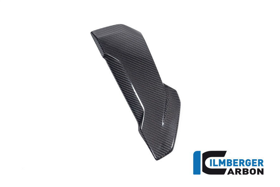 Ilmberger Carbon Radiator Side Panel Cover left side L/S, glossy, BMW S1000XR 2020-2023