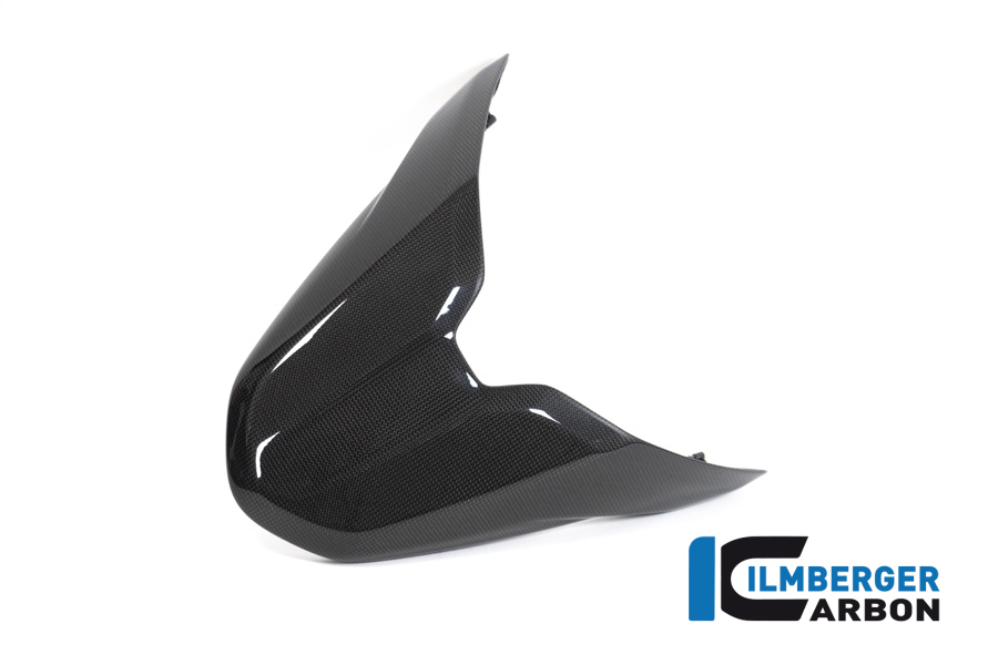 Ilmberger Carbon Pillion Seat Cover, Glossy, Ducati Monster 1200, 1200S 2017-