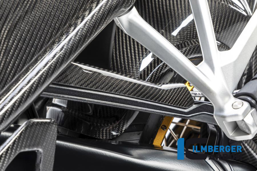 Windschild, Carbon