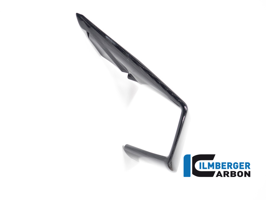Ilmberger Carbon Winglet left side L/S, glossy, BMW M1000RR 2023-