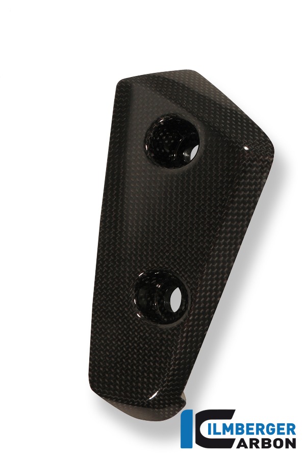 Ilmberger Carbon Flap on Mudguard fronte right side R/S, Carbon
