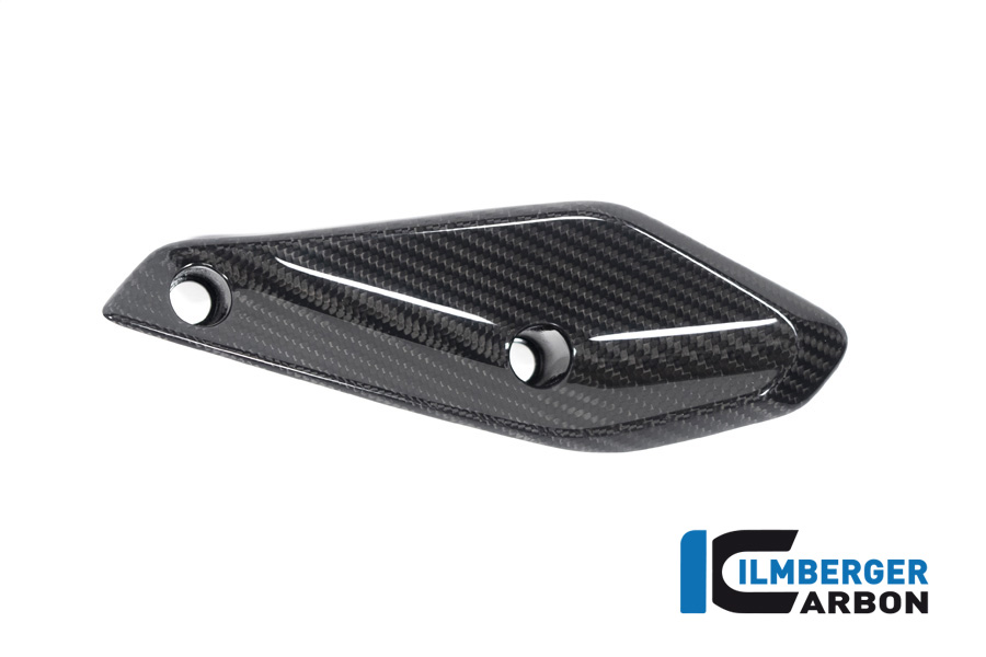 Ilmberger Carbon Fairing Winglet left side L/S, glossy, BMW R1250RS 2019-