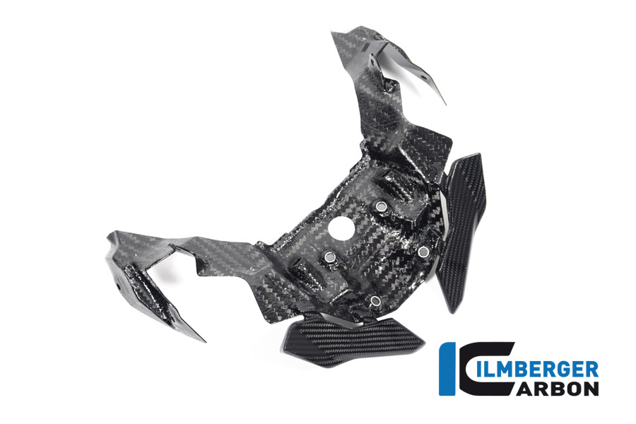 Ilmberger Carbon Beak Extension, glossy, BMW S1000XR 2020-