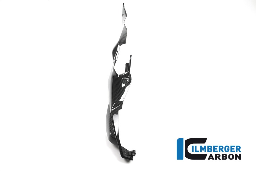 Ilmberger Carbon frame Rear Fairing right side R/S