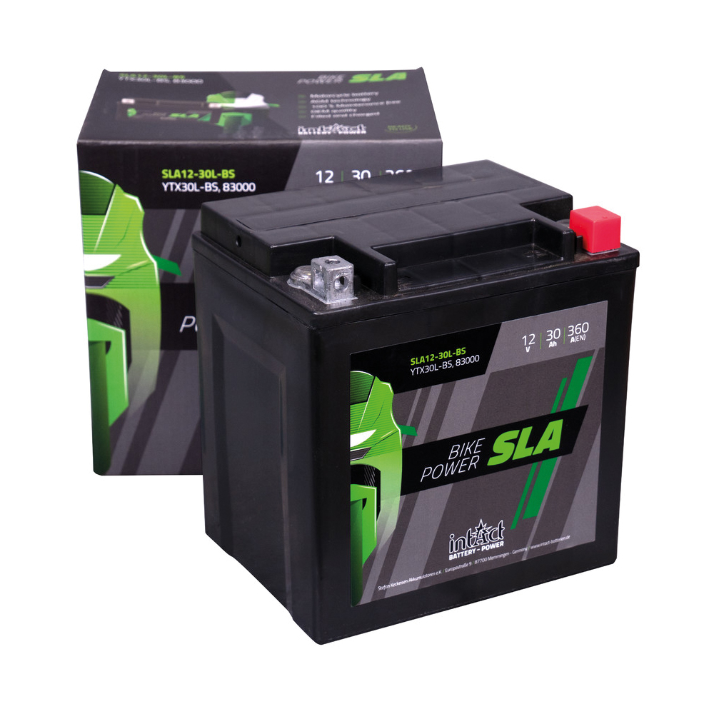 Intact Sealed AGM Battery YTX30L-BS