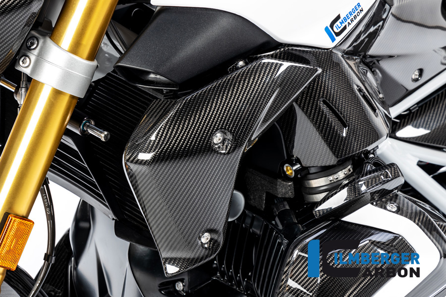 Windschild, Carbon
