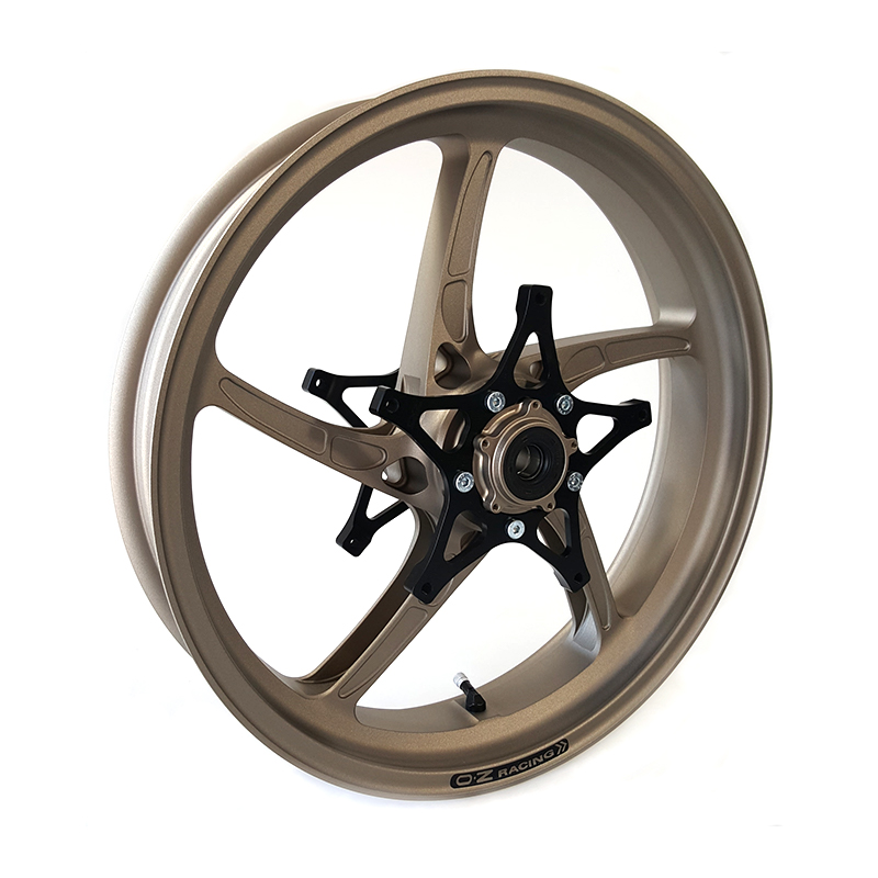 OZ Piega 17" Conversion Kit BMW R1200GS R1250GS Titanium for OEM brake disc