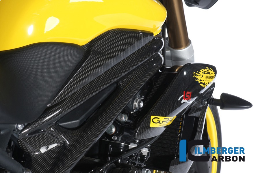 Ilmberger Carbon Side Panel above the radiatorr right side R/S, Carbon