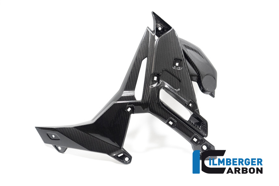 Ilmberger Carbon Radiator Cover left side L/S, gloss, BMW S1000R 2021-
