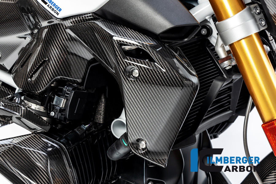 Radiator Cover right side R/S Carbon for BMW R 1250 R (LC) 2019