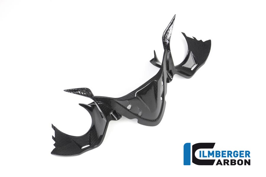 Ilmberger Carbon Instrument Cover, Glossy Carbon