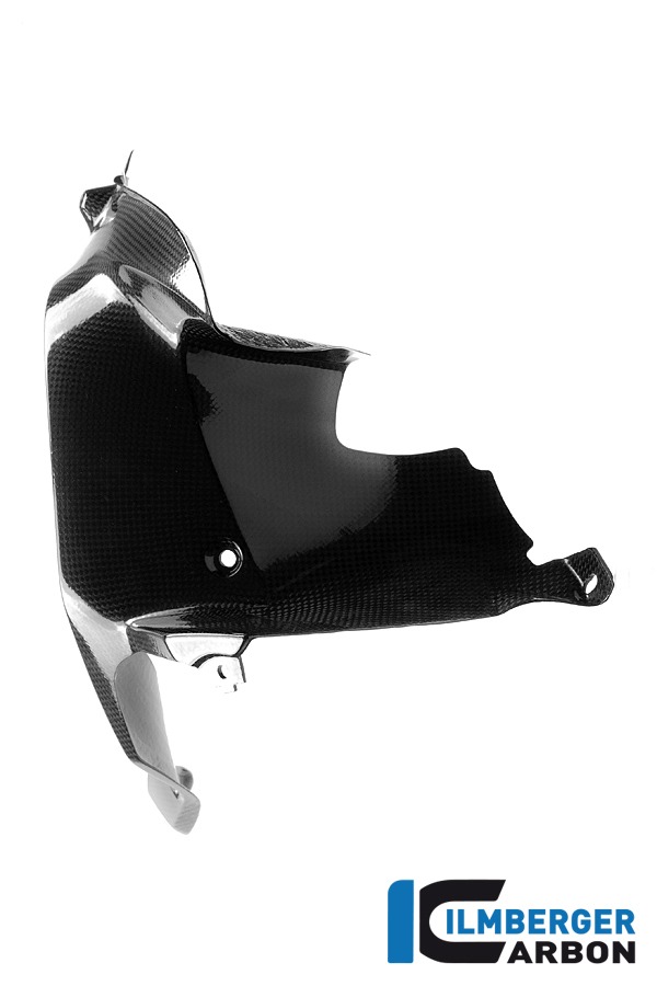 Ilmberger Carbon Air Outlet Fairing on the fuel tank right side R/S
