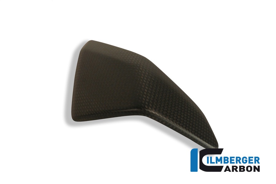 Ilmberger Carbon Side Fairing Insert left side L/S, Carbon