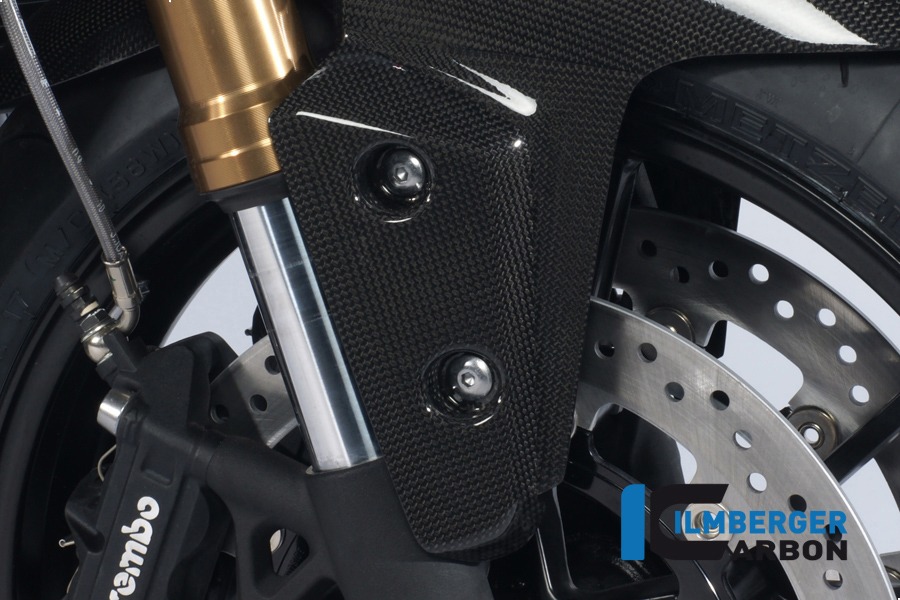 Ilmberger Carbon Flap on Mudguard fronte right side R/S, Carbon
