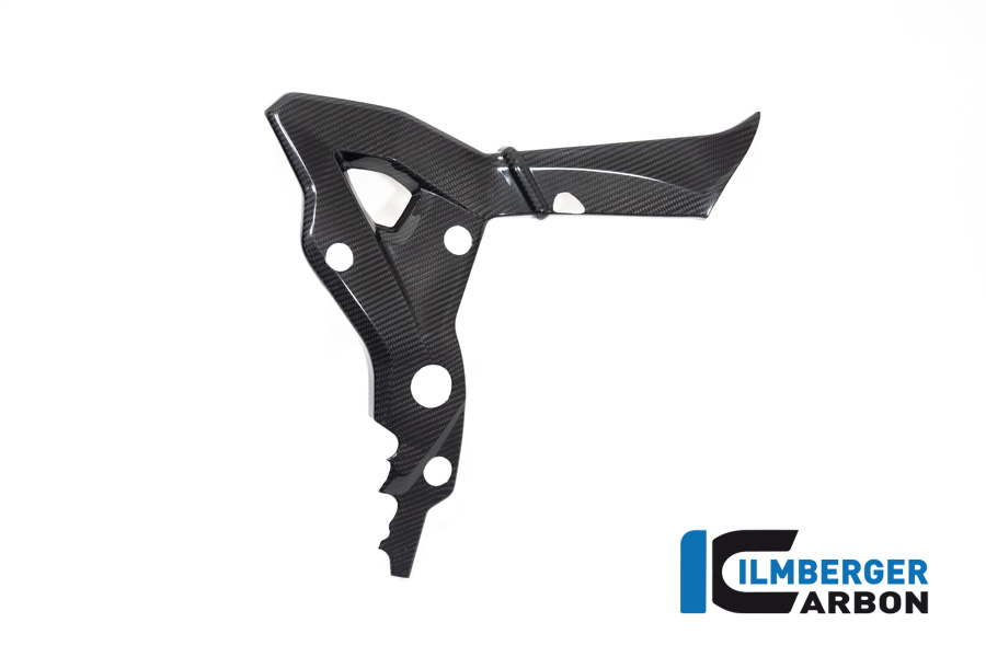 Ilmberger Carbon frame cover right side R/S, glossy, BMW S1000XR 2020- M1000XR 2024-