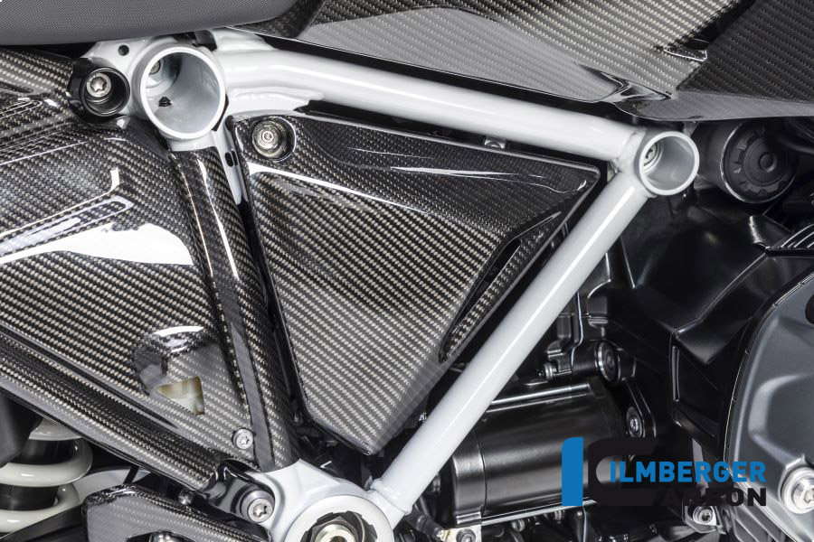 Windschild, Carbon