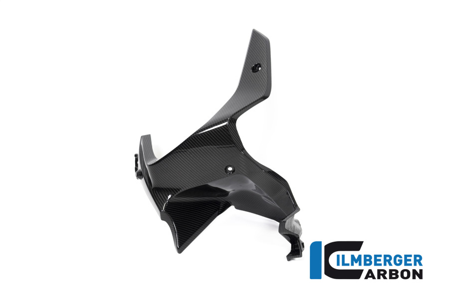 Windschild, Carbon