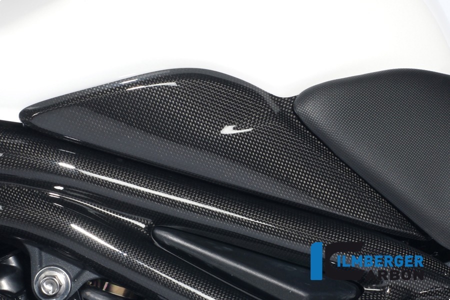 Ilmberger Carbon fuel tank side cover left side L/S, Carbon