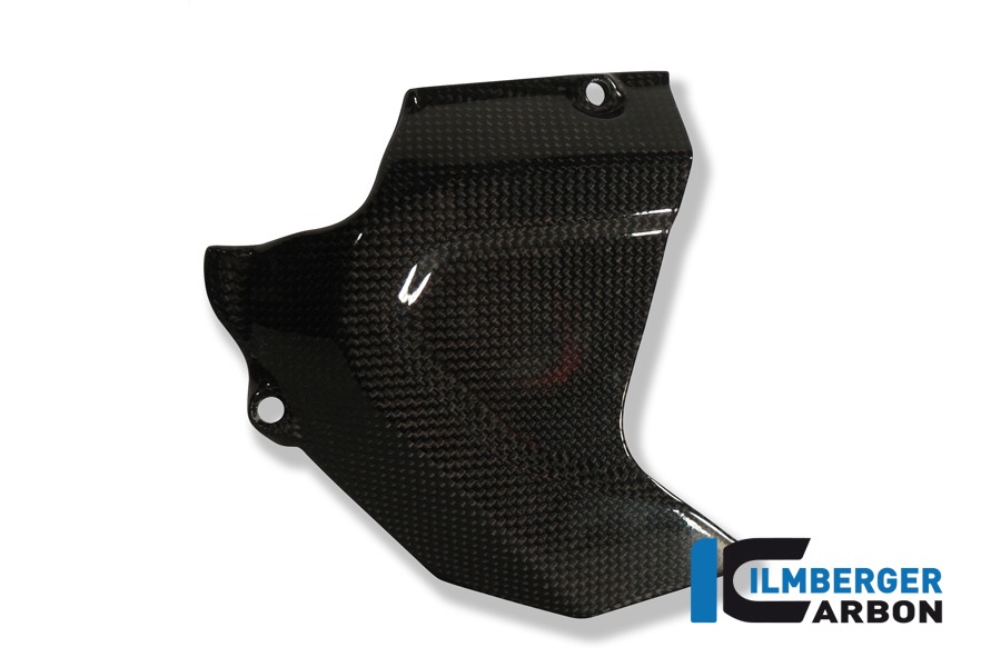 Ritzelabdeckung, Carbon