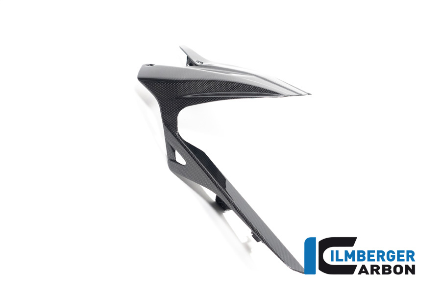 Ilmberger Carbon Rear Mudguard rear, glossy, Ducati Diavel V4, 2023-