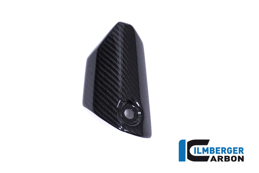 Kotflügel vorne, Carbon