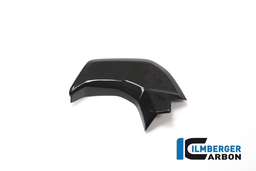 Ilmberger Carbon Cover next to Cockpit left side L/S Gloss