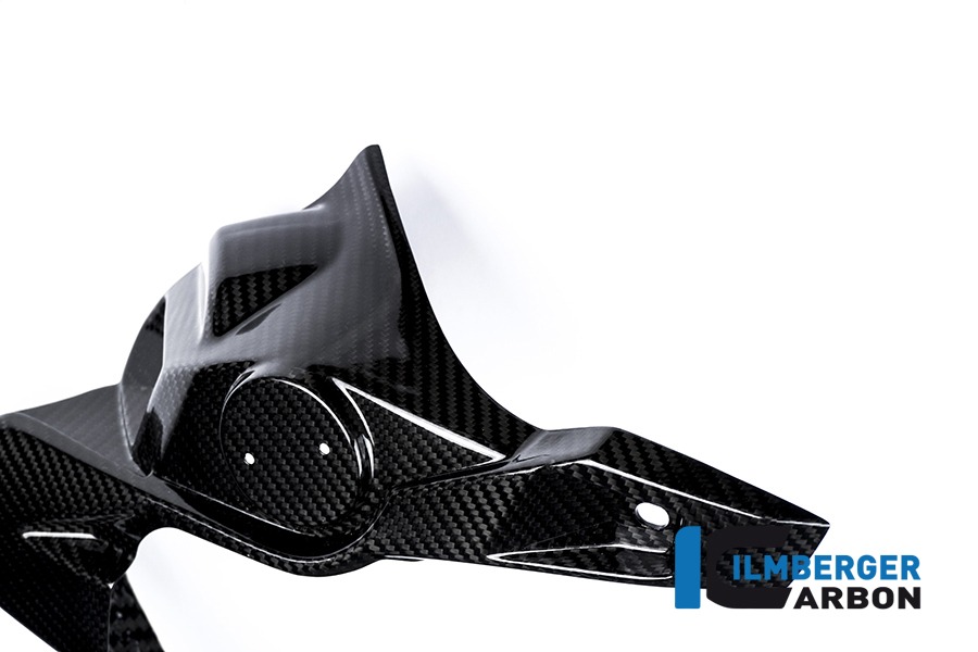 Ilmberger Carbon Radiator Cover left side L/S, Carbon
