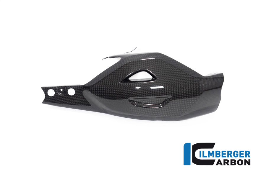 Ilmberger Carbon Swingarm Protector, Gloss, Ducati Diavel V4, 2023-