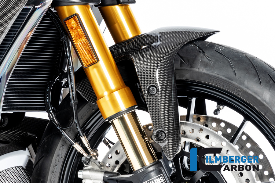 Ilmberger Carbon Front Mudguard fronte, Glossy, Ducati Diavel 1260, 2019-