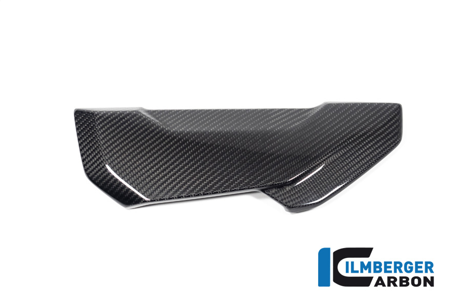 Ilmberger Carbon Pillion Seat Cover, Glossy, BMW S1000R 2020-, M1000R 2023-