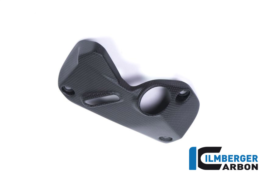 Ilmberger Carbon Cover under the frame right side R/S, matt Ducati Monster 1200, 1200S 2017-