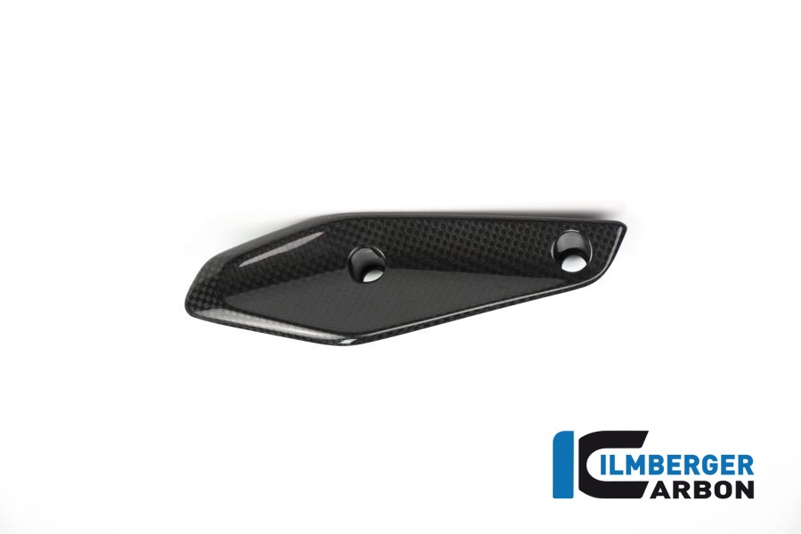 Ilmberger Carbon Fairing Winglet right side R/S