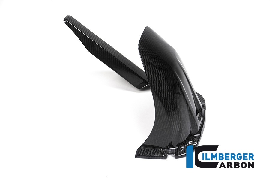 Ilmberger Carbon Rear Fender with chainguard