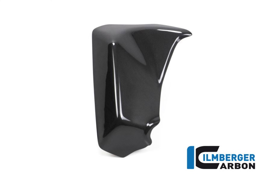 Ilmberger Carbon Inner Side Panel left side L/S gloss
