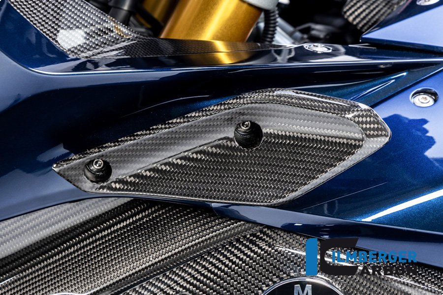 Ilmberger Carbon Fairing Winglet left side L/S, glossy, BMW R1250RS 2019-