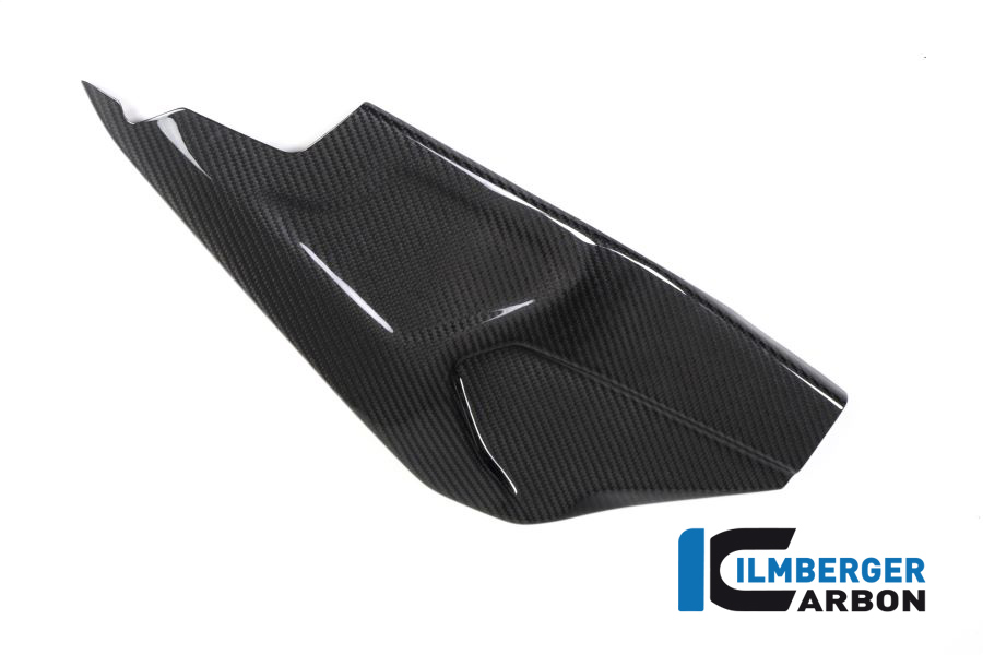 Ilmberger Carbon Swing Arm Cover right side R/S glossy, BMW HP4 RACE 2018-2019