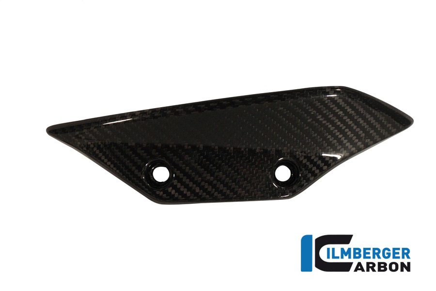 Verkleidungswinglet links, Carbon